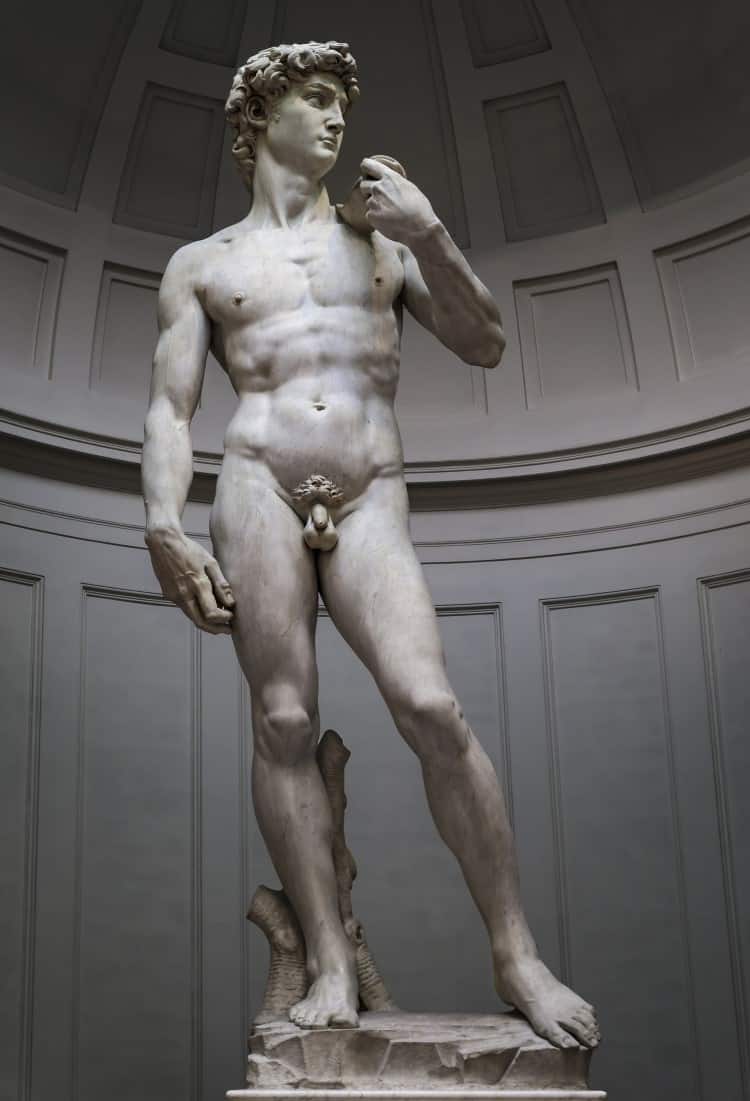 Michelangelo's David Sculpture