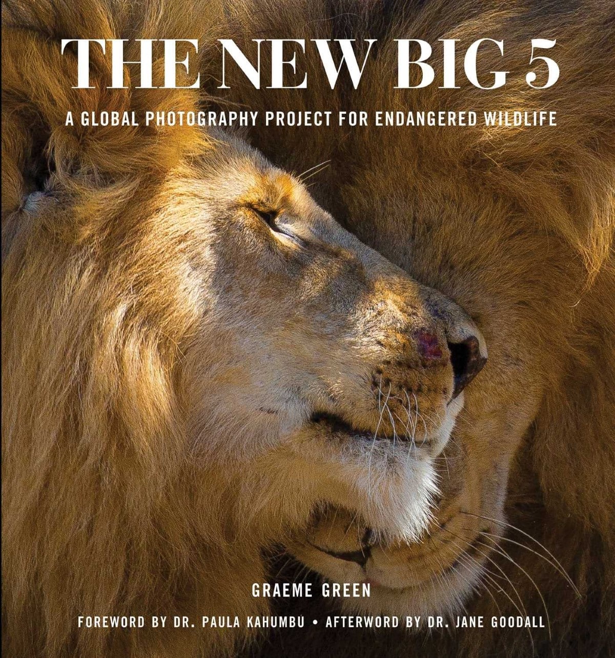 The New Big 5 by Graeme Green